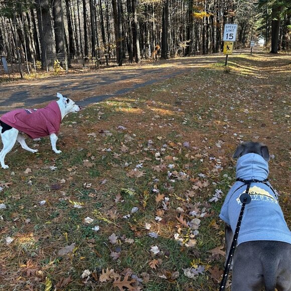 Meet your Posher, Adrianne! - Picture 7 of 16